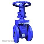 VTV Valve Gate Valve PN 16