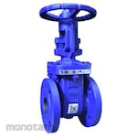 VTV Valve Gate Valve PN 16