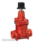 Victaulic Gate Valve NRS 300 PSI