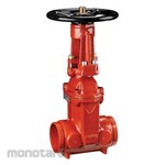 Victaulic Gate Valve OS&Y