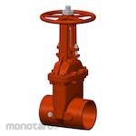 Weflo Gate Valve Class 300 Groove