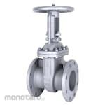 Weissmiller Gate Valve ANSI 150 A216 WCB