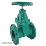 Weissmiller Gate Valve PN16 Cast Iron