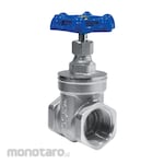 Westpex Gate Valve