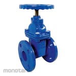 Wipro Gate Valve Flange