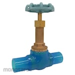 Yamato Valve Bronze Gate Valve With Clear PVC Fitting