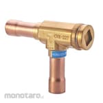 Hongsen Check Valve