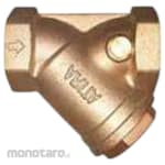 ARITA Y-Strainer Screw