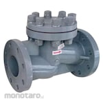 CENIT Strainers CPVC Body Seal EPDM Socket End ANSI