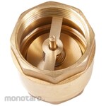 Duraflo Tusen Klep Kuningan Pin