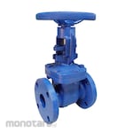 Hartec Gate Valve Rising