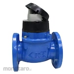 Itron Woltex Hot Meter 150degrees C (Schlumberger)