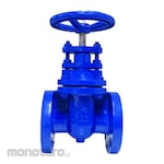 TP Gate Valve Disc Brass Flange End Connection JIS10K (Katup)