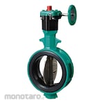 Tomoe Aluminum Butterfly Valve Lock Lever Type