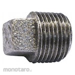 JONES STEPHENS Galvanized Square Head Plug