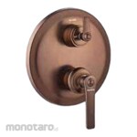 Paloma Single Lever Concealed 5-Way Bath/Shower Mixer