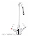 SPEAKMAN Dual-Lever-Handle Single-Hole Deck-Mount Laboratory Faucets