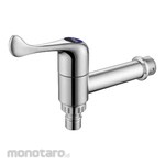 AVA Wall Faucet