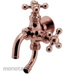 KAKUDAI MFG Dual-port universal home faucet (with freeze protection)