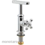 KAKUDAI MFG Vertical eyewash faucet