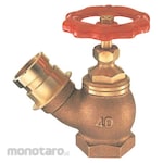 SANEI 45 ° Sprinkler Plug
