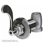 CHICAGO FAUCETS Wall Valve