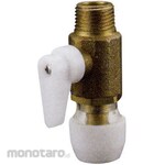Bridgestone Male Adapter with Push Master Valve