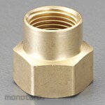 ESCO 1/2 "NPTx3 / 4" NH conversion connector (Female thread)