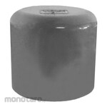 Vinilon Cap