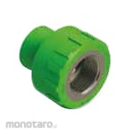 RUCIKA Fitting PPR Female Thread Joint (Sambungan Pipa PPR)
