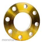 GBA Flange JIS10K FF