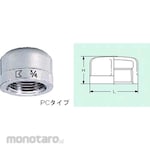 Kitz Cap Threaded Type Fitting