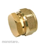 AMD End Cap Screw Brass