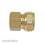 AMD Female Elbow Screw Brass