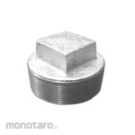 AMD Plug GI