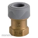 Dotori Brass Fitting Female Valve Socket