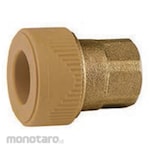 Dotori Brass Fitting Reduced Female Valve Socket