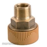 Dotori Brass Fitting Reduced Male Valve Socket