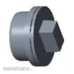 Lesso Sambungan Pipa PVC Clean Out dengan Plug D JIS PVC-U