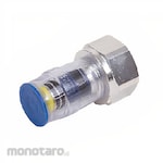 RUCIKA Sambungan Pipa PVC Female Adaptor