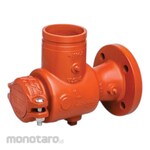 Victaulic Series 731-D- Suction Diffuser Painted Orange