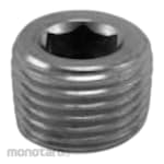 Wipro Plug Inner Hexagon (Plug Hex)