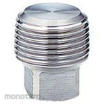 Kitz Plug Stainless Steel