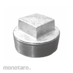 TSP Iron Pipe Fittings Plug (Tutup Pipa Besi)