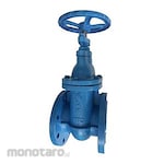 Tozen Flexible Rubber Joint Twinflex JIS 20K, Mild Steel Flange