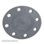 HUASHENG Blind Flange CPVC SCH80 ASTM F-439