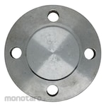 Non Brand Blind Flange Buttweld