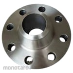 Yaofa Plat Type Flat Welding Flange WN PN16 A105