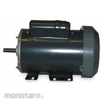 DAYTON Replacement Motor For Use With 3XK62