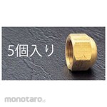 ESCO 3/4 inch flare seal cap